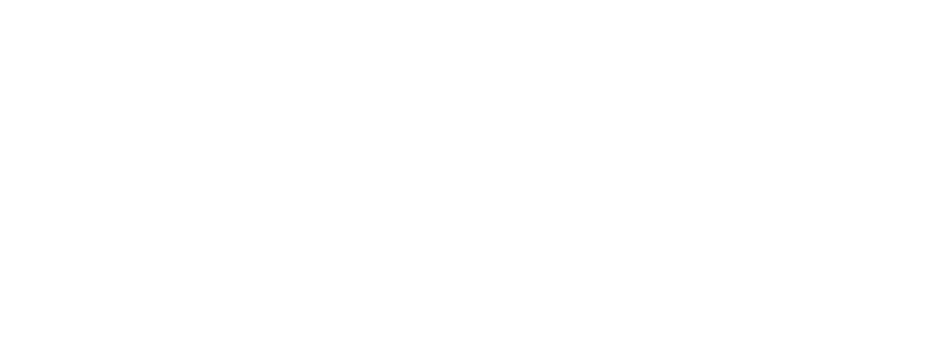 Stern Technologies Logo White